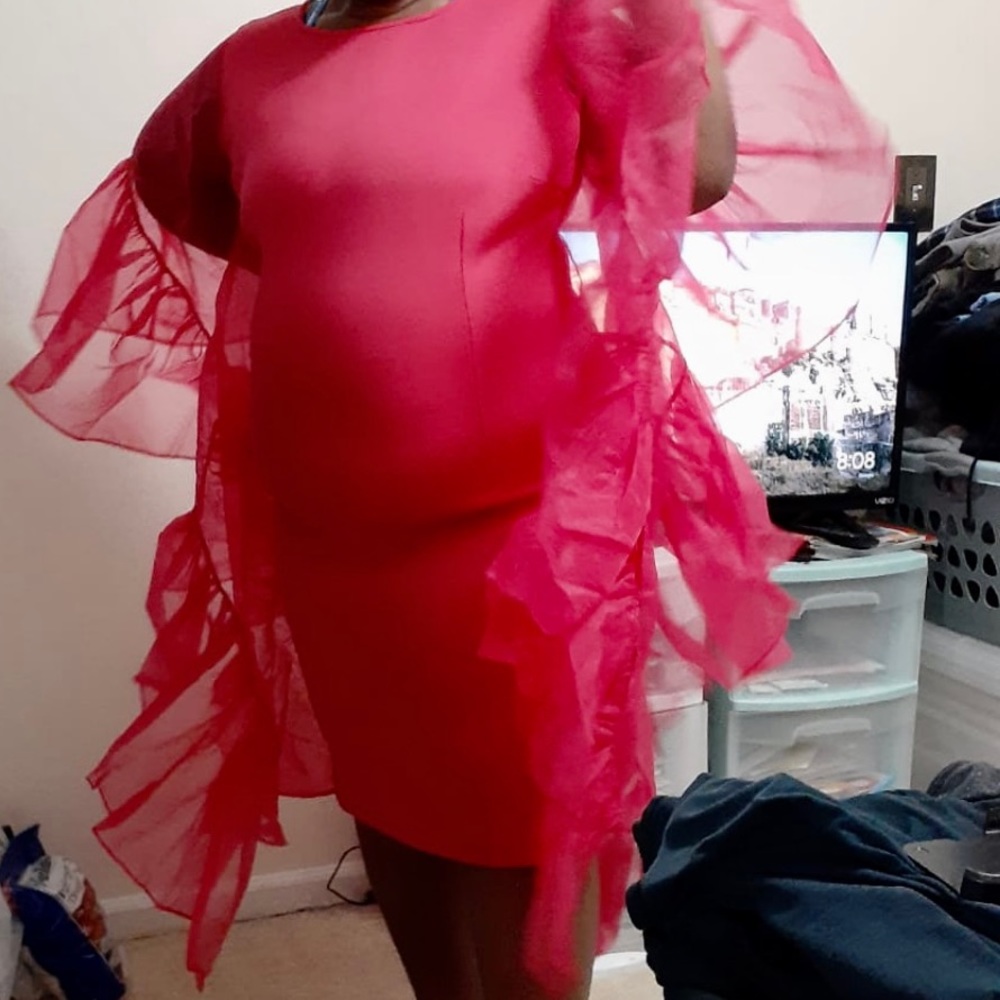Plus size : Organza drama sleeve bodycon dress. New!
